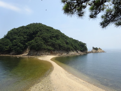 希望の道 を歩いてみませんか 小 豆 島 B L O G